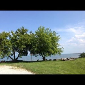 Meet your Posher, Fang